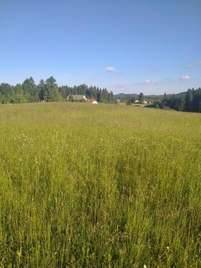 Apartma Sveti Duh Nova Vas (Bloke) Exterior foto